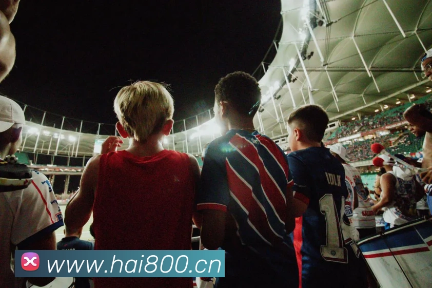 ayx官网iosAPP 封面图